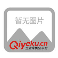 供應瓦倫蒂仕男裝T恤 休閑時尚 男式T恤 T恤服裝